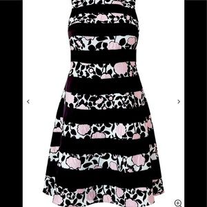 Adrianna Papell Boat Neck dress